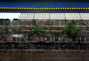 �˿���������Ƶ�����㹫��Ա�²۴����޸���������̨��������...